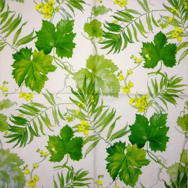 001 Plants - 3 ply - Molca